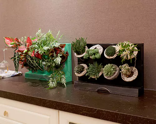 রঙিন ফুলের পটগুলি আমার গাছগুলিকে মনে করে যেন তারা প্রতিদিন ছুটিতে থাকে