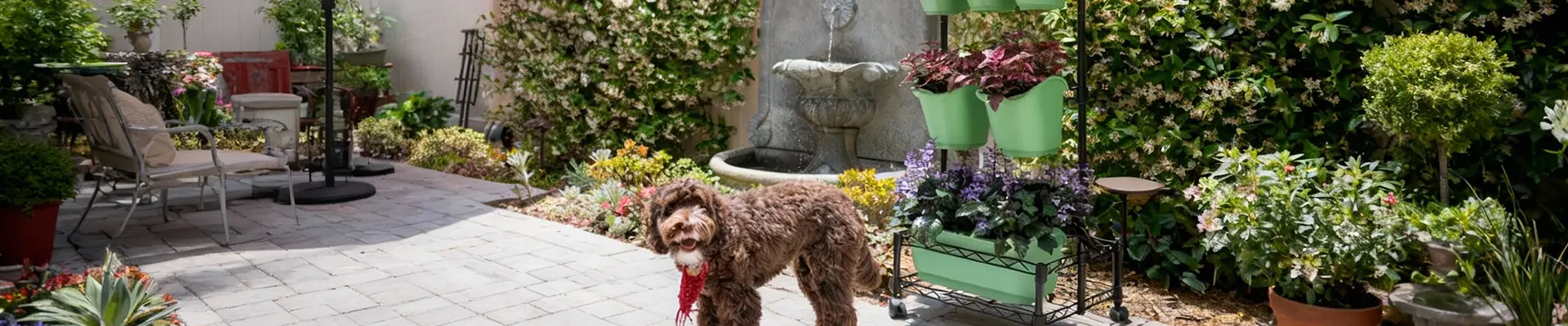 গ্রিন লিভিং