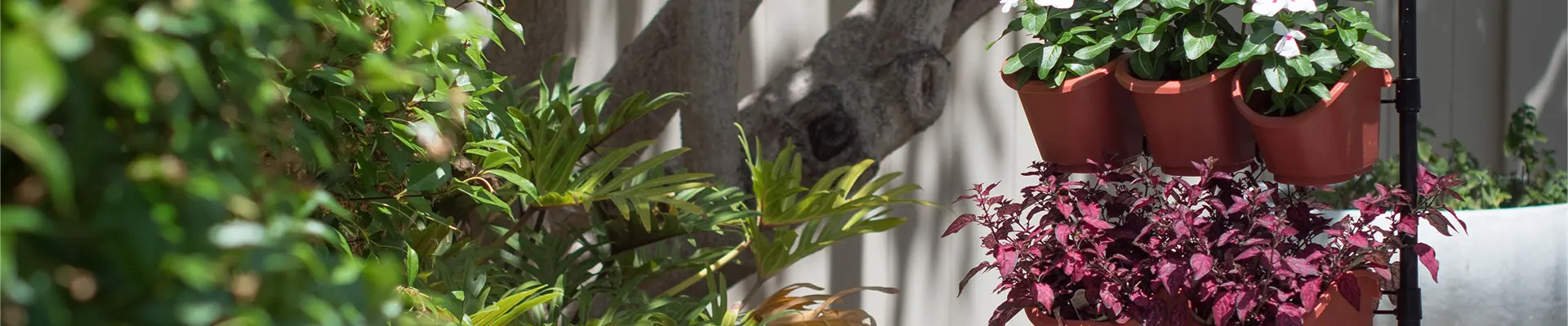 ইকো গার্ডেনিং ভার্টিক্যাল গার্ডেন