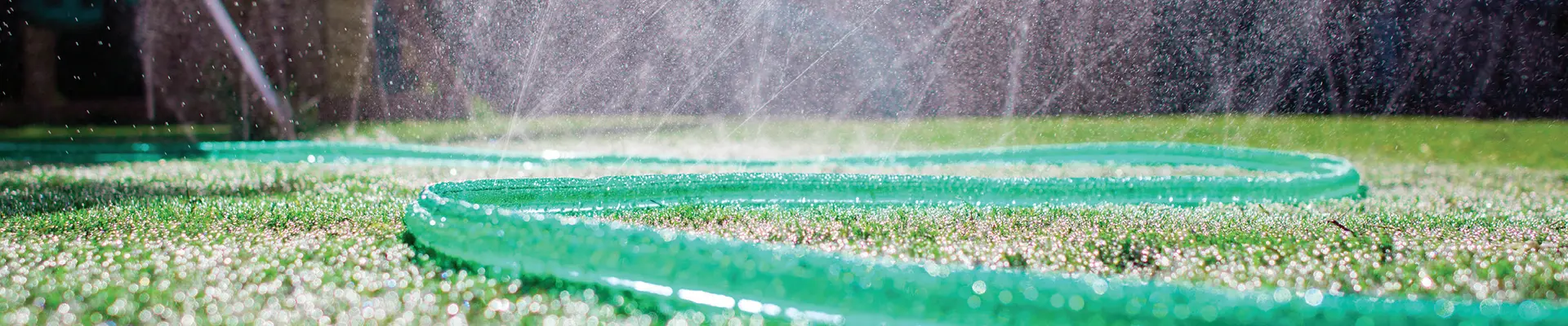 বাগান পায়ের পাতার মোজাবিশেষ