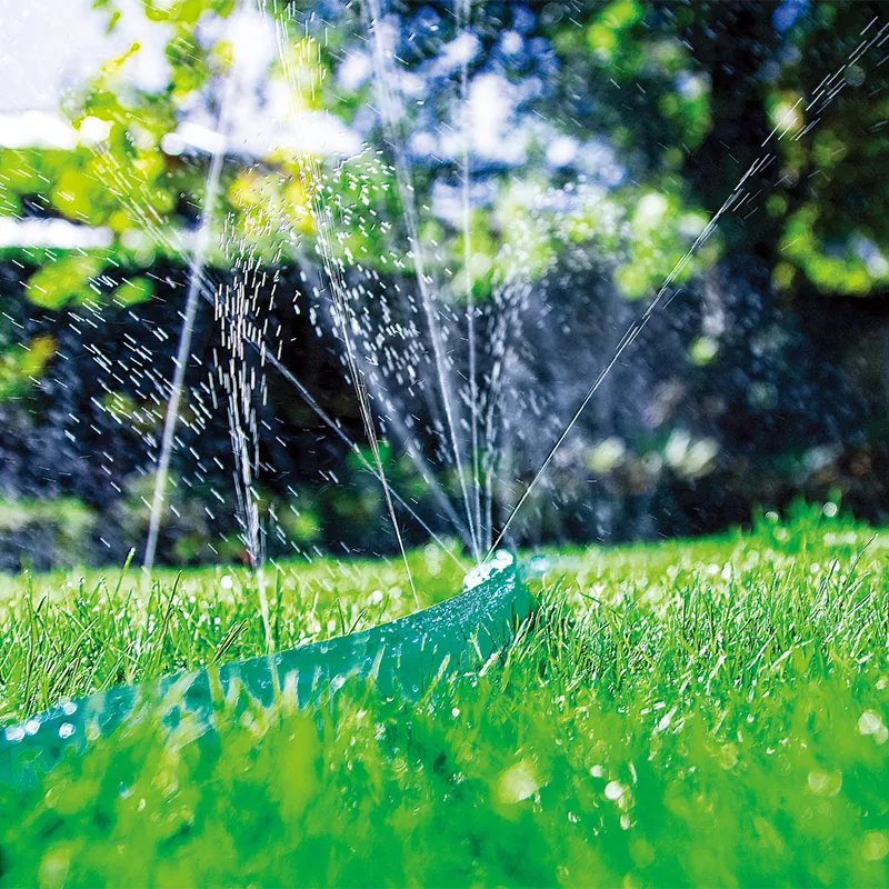 বাগান সোকার পায়ের পাতার মোজাবিশেষ