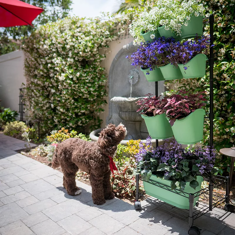 মেটাল মোবাইল গ্রিন ওয়াল ডাবল ফ্রেম