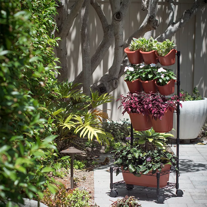 মেটাল মোবাইল গ্রিন ওয়াল প্লান্টার একক ফ্রেম