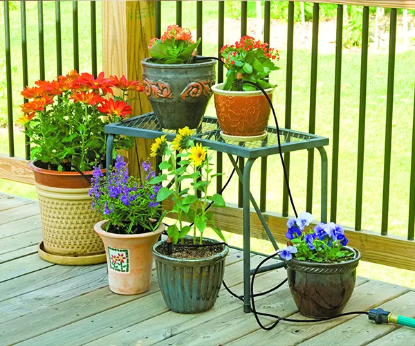 বহিঃপ্রাঙ্গণ